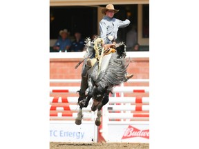 Dawson Hay, of Wildwood, rides Chin Lee to a score of 88 in Day 8 of the Calgary Stampede rodeo saddle-bronc event on Friday. Photo by Al Charest/Postmedia.