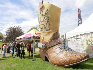 Music fans came out in full force to the 2019 Stampede Roundup featuring Blondie and Billy Idol, at Shaw Millennium Park Wednesday, July 10, 2019. Dean Pilling/Postmedia