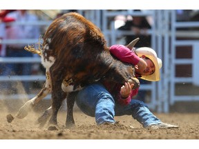 Bulldogger Stephen Culling of Fort St John, BC, planted his steer in a time of 3.9 seconds in the steer - wrestling competition at the Calgary Stampede rodeo on Sunday, July 7, 2019. Al Charest / Postmedia
