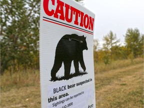 A sign warns off a possible black bear in the area along Glenmore Reservoir near Glenmore Landing on Monday September 10, 2018. Gavin Young/Postmedia