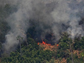 Aerial picture showing smoke from a 2-kilometre stretch of fire billowing from the Amazon rainforest about 65 km from Porto Velho, in the state of Rondonia, in northern Brazil, on August 23, 2019. - Bolsonaro said Friday he is considering deploying the army to help combat fires raging in the Amazon rainforest, after news about the fires have sparked protests around the world. The latest official figures show 76,720 forest fires were recorded in Brazil so far this year -- the highest number for any year since 2013. More than half are in the Amazon.