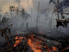 A fire burns a tract of Amazon jungle as it is cleared by loggers and farmers near Porto Velho, Brazil August 27, 2019.