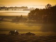 A farm tractor and baler sit in a hay field on a misty morning near Cremona, Alta., on Aug. 30, 2016.