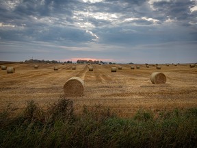 Field combined and baled at sunrise east of Carstairs, Ab, on Tuesday, September 17, 2019. Mike Drew/Postmedia