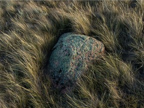 A glacial erratic surrounded by fescue grass on the prairie north of Buffalo.