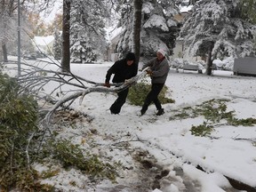 Gerry Dubuc (right) and Hazen Steeves (left) remove a tree that fell in the middle of the road in front of their properties on Crawford Avenue in Winnipeg during a snow storm on Friday, Oct. 11, 2019. Josh Aldrich/Winnipeg Sun/Postmedia