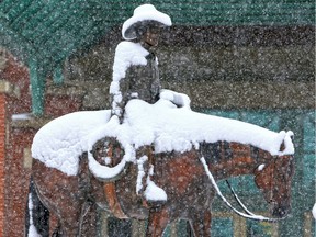 Steadily falling snow collects on a statue of a cowboy at Stampede Park in Calgary on Tuesday November 19, 2019.