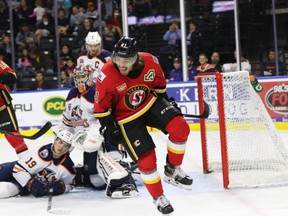 The Stockton Heat's Ryan Lomberg is on pace to shatter his career high in points in an AHL campaign.
