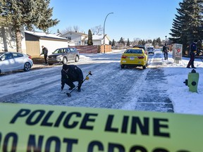 Police are investigating the scene of a shooting in Rundlemere Road N.E. using metal detectors to look for bullet cases on Monday, December 30, 2019. Azin Ghaffari/Postmedia