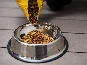 Pouring pet food into a bowl