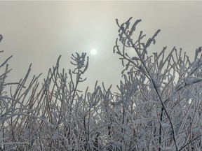 The sun tries to shine through the frost on the Bow River.