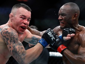 Colby Covington (L) takes a punch from UFC welterweight champion Kamaru Usman in their welterweight title fight during UFC 245 at T-Mobile Arena on Dec. 14, 2019, in Las Vegas.