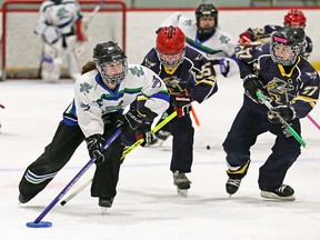 Players with the S Cal Thunderstruck and the Airdrie Adrenaline play at the East Twin Arenas during the Esso Golden Ring ringette tournament on Saturday, January 18, 2020.  Gavin Young/Postmedia
