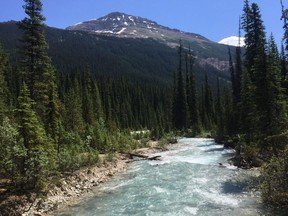 In this July 6, 2017 photo, the Yoho River flows through Yoho National Park in Canada's stretch of the Rocky Mountains, straddling the border of British Columbia and Alberta.