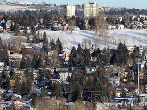 Council's finance committee has voted in favour of skipping the civic census in 2021. Thursday, January 2, 2020. Brendan Miller/Postmedia