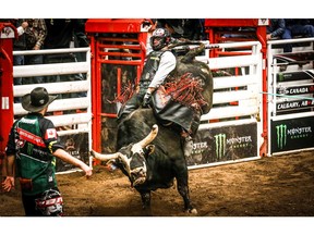 De Winton, Alberta cowboy Brock Radford winning ride on a bull named Minion Stuart during the PBR Canada's Monster Energy event in the Nutrien Western Event Centre at Stampede Park in Calgary, Saturday, March 24, 2018. Al Charest/Postmedia