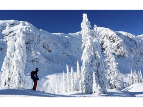 A skier makes his way up Timber Bowl at Fernie Alpine Resort.