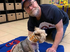 Marc David's Yorkie, Woody, was attacked by a coyote on Jan. 8, 2020, in the northwest community of Edgemont near Nose Hill Park.