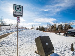 An off leash dog park in Braeside was busy on Sunday, February 16, 2020. On Saturday evening the park was the scene of a serious and seemingly random stabbing of a 15 year-old who was walking a dog with his mother. Gavin Young/Postmedia