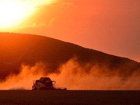 A farmer harvests wheat with a combine harvester against the light of the setting sun near Sehnde, Germany, August 11, 2014. Climate change could open a whole new Canadian farming frontier, says newly published research.