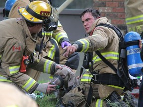 Firefighters give oxygen to one of two dogs they rescued from a house fire at 6316 24 ave. in NE Calgary, Alta. on Tuesday June 23, 2015.