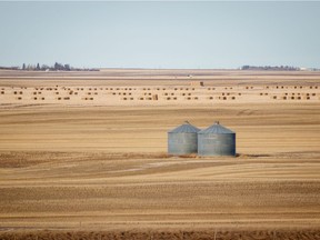 Not much snow on the stubble near Granum.