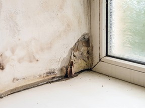 Wetting and growth of molds of window slope near plastic window and windowsill. Collapsing drywall.