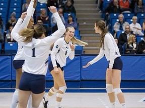 Mount Royal Cougars women's volleyball.