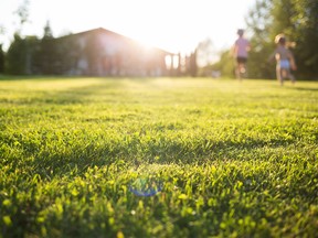 Healthy lawn, backyard, kids playing