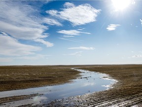 Runoff evaporates in a field south of Lomond.