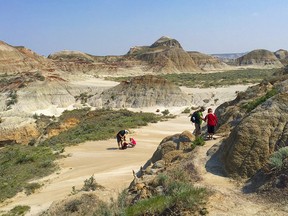 Dinosaur Provincial Park will see a reduction of services.