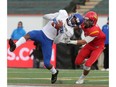 Trivel Pinto from the UBC Thunderbirds (left) makes a catch as he is pressured by Robert Woodson from the U of C Dinos. UBC went on to win the Hardy Trophy in a 34-26 victory over the University of Calgary Dinos in Canada West university football action at McMahon Stadium in NW Calgary, Alta. Saturday November 14, 2015. Stuart Dryden/Calgary Sun/Postmedia Network