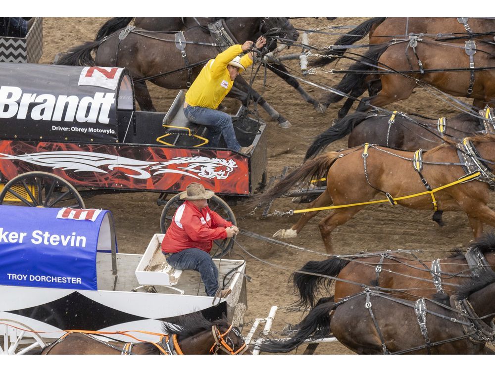 Calgary Stampede cancellation stops jewel of chuckwagon racing