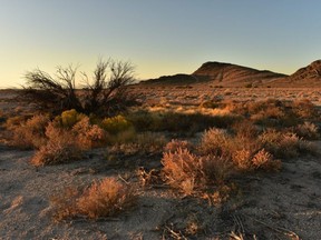 Dawn landscape in the Mojave Desert on the outskirts of Pahrump, Nevada.