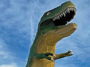 Drumheller is home to the world's largest dinosaur. It's 26 metres tall. You can climb 106 stairs inside the beast and take in the view from inside its gaping jaws.
