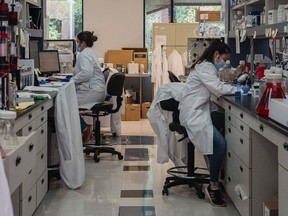 Employees working in a lab that is focused on fighting COVID-19 at Sorrento Therapeutics in San Diego, California on May 22, 2020.