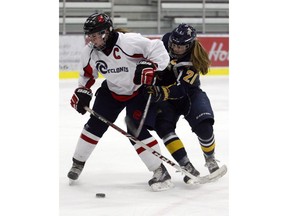 The Alberta Female Hockey League is taking the next step in helping its teams deal with concussions. Postmedia file photo.