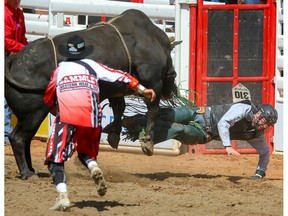 Jordan Hansen of Ponoka, Alberta is tossed from a bull called Southern Heat during the bull-riding event at the Calgary Stampede rodeo on Saturday, July 13, 2019. Al Charest / Postmedia