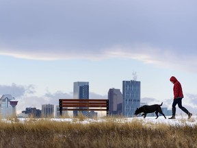 A Pedestrian and her dog walk along the pathway in Valleyview Park with the Calgary skyline under the Chinook arch in the background on Friday, November 20, 2020.