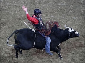 NEW YORK, NEW YORK - JANUARY 03:  Brock Radford rides atop Scarface during the PBR Unleash the Beast Bull Riding competition at Madison Square Garden on January 03, 2020 in New York City.