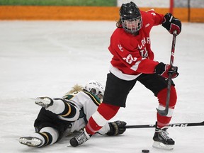 University of Calgary Dinos forward Hayley Wickenheiser (right) avoids University of Alberta Pandas forward Montanna Noyes while handling the puck in the Pandas zone during the third game of the Canada West semi-final women's hockey game at the Father David Bauer Arena in Calgary on February 24, 2013.