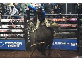 Kindersley, Sask., cowboy Dakota Buttar rides to a score of 86 on the first night of the PBR Canada Finals in Grande Prairie last night. Photo by Peter Shokeir/Special to Postmedia