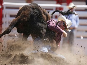 Curtis Cassidy of  Donalda, Alta., competes in steer wrestling at the Calgary Stampede on July 8, 2017.