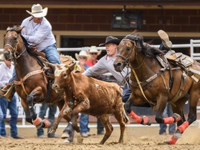 Curtis Cassidy competes in steer wrestling during the Calgary Stampede on July 13, 2019.