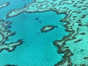 This file photo taken on Nov. 20, 2014, shows an aerial view of the Great Barrier Reef off the coast of the Whitsunday Islands, along the central coast of Queensland.