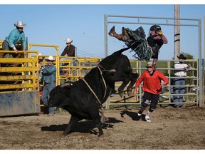 Airdrie, Alta.- Logan Biever is bucked off during Bikes and Bulls at the Airdrie Rodeo Grounds in Airdrie on Saturday, Aug. 22, 2015. The event included a show and shine for motorcyclists and a Professional Bull Riding. Zachary Cormier/Airdrie Echo/Postmedia Network ORG XMIT: Bikes and Bulls