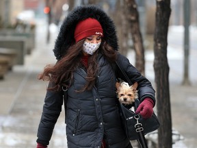 Lilly stays warm in a bag with owner Larissa on a chilly stroll in downtown Calgary on Thursday, Jan. 28, 2021.