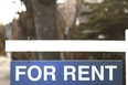 Renters have a lot of choice in the new rental market, says a report by Urban Analytics.