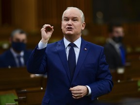 Conservative Leader Erin O'Toole rises during question period in the House of Commons on Parliament Hill in Ottawa on Wednesday, Feb. 17, 2021.