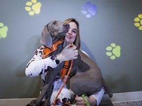 Melissa David, of Parachutes for Pets in Calgary, Alta., Thursday, Feb. 6, 2020.